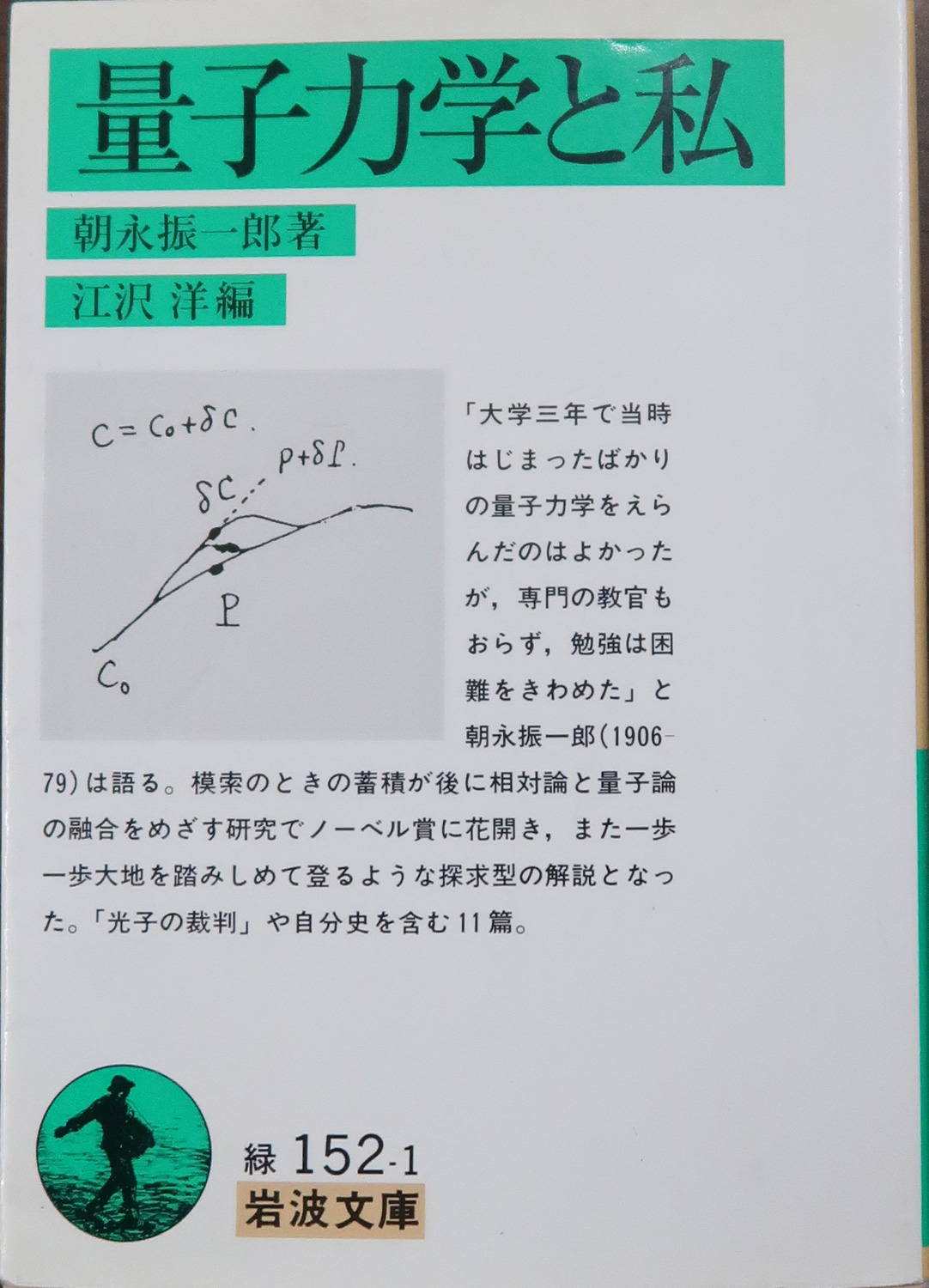 量子多体系の物理 量子現象の基礎を理解するために 藤本聡 川上則雄 本 